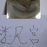 呼和浩特服务超好妹妹