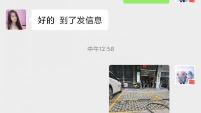 禅城甜甜猫