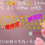xzl糖糖fw系小坦克