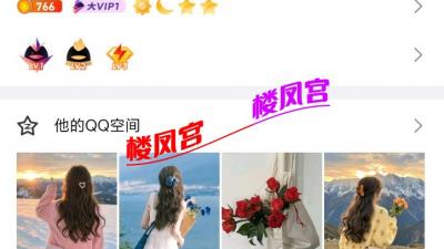 验证六里桥东中项