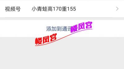 石家庄微胖小青蛙
