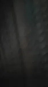 听声可射