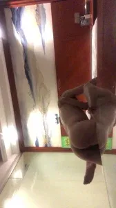  调教广佛骚逼2