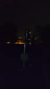  野性的呼唤之公园运动