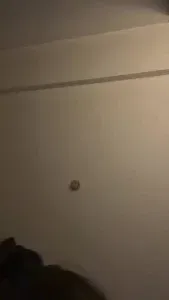 后入泉州骚鸡，给200随便艹