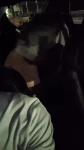 我开车 对象和单男在后座上啪啪啪。太刺激了。