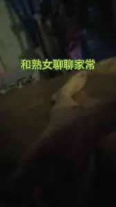 与熟女的合集