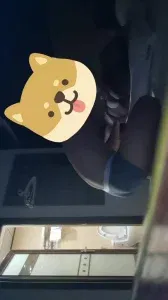 骚货黑丝高跟第二部