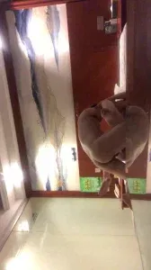  调教广佛骚逼3