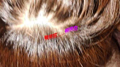 https://cnd-2005-03-01.iyuepa-cdn.xyz/image/DWsrMxIoB9yRQwBPqfM4rpoq.jpg