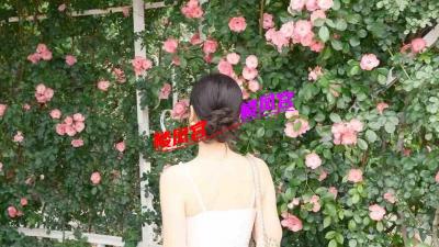 https://cnd-2005-03-01.iyuepa-cdn.xyz/image/MVrBZ4VYnQ6QGIPcB2S6cxHf.jpg