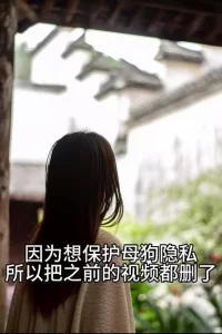 https://cnd-2005-03-01.iyuepa-cdn.xyz/image/SO52bjYJYIdWutbKCjABJbFQ.webp