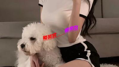 https://cnd-2005-03-01.iyuepa-cdn.xyz/image/dHYGwMiLEDWzp4Ck0MiMrlIO.jpg