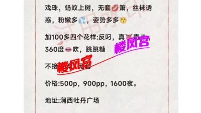 https://cnd-2005-03-01.iyuepa-cdn.xyz/image/h9ZihQOyY0nph9Ar31403CD0.jpg